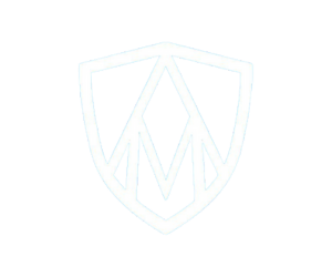 Logo Wallerius Seguros